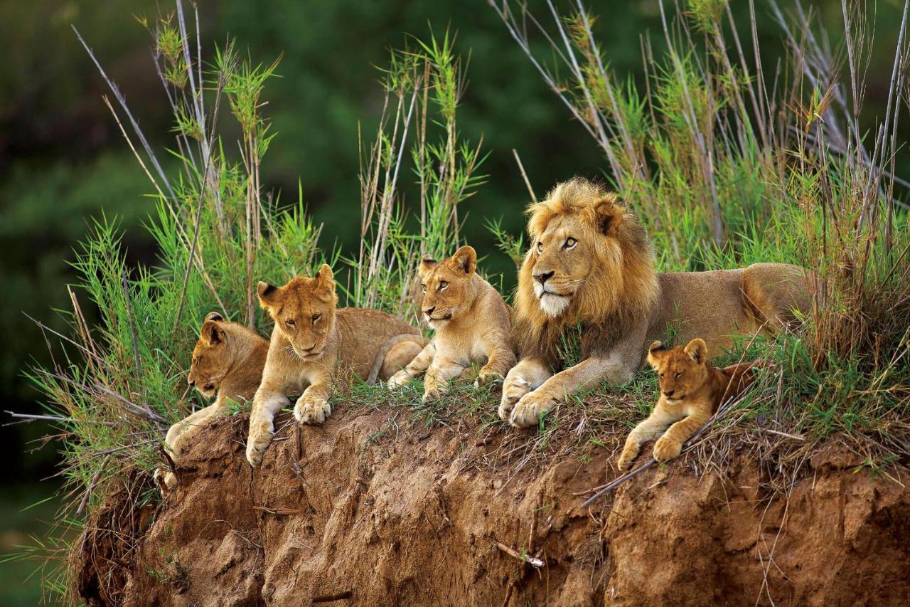 Kapama Karula Villa Kapama Game Reserve Екстериор снимка