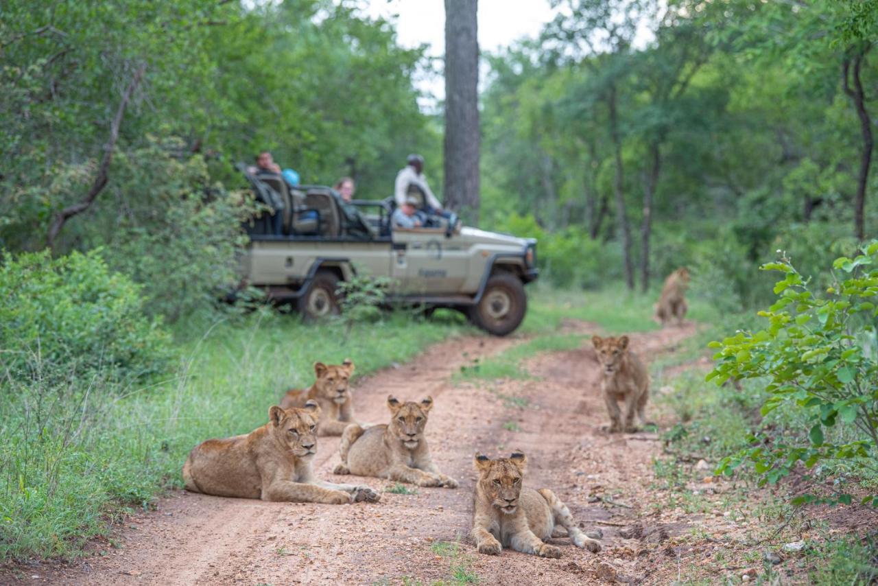 Kapama Karula Villa Kapama Game Reserve Екстериор снимка