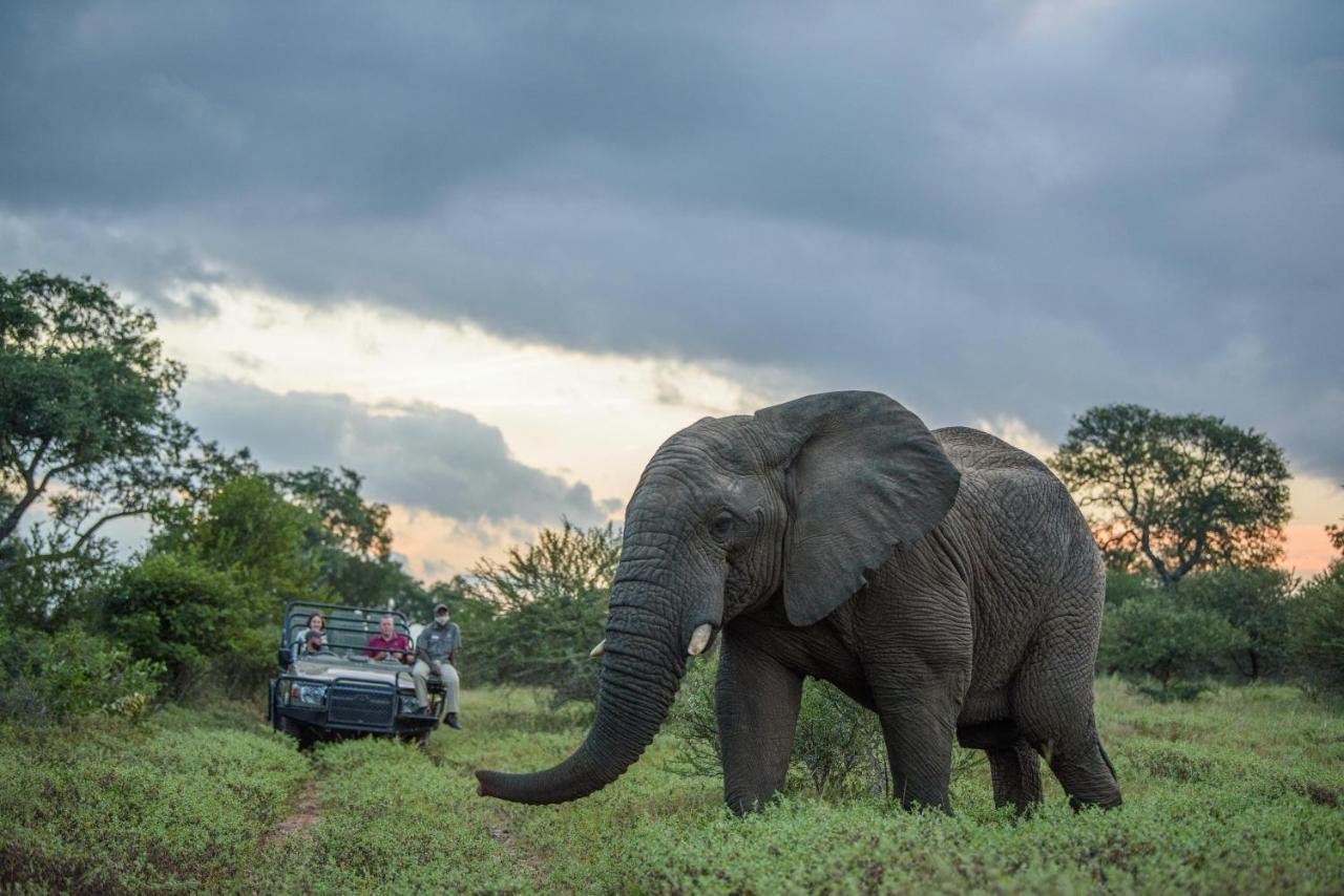Kapama Karula Villa Kapama Game Reserve Екстериор снимка