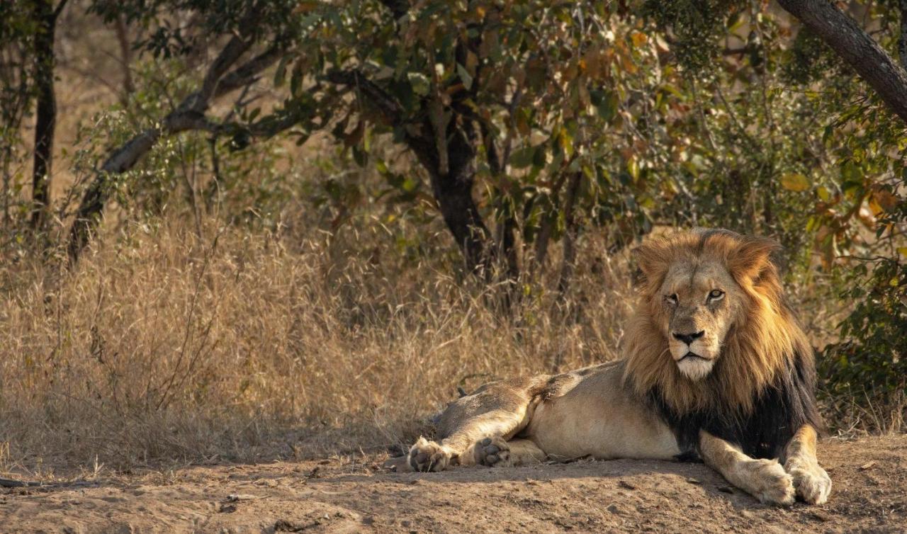 Kapama Karula Villa Kapama Game Reserve Екстериор снимка