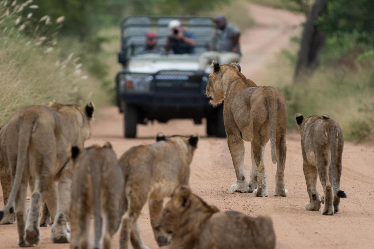 Kapama Karula Villa Kapama Game Reserve Екстериор снимка
