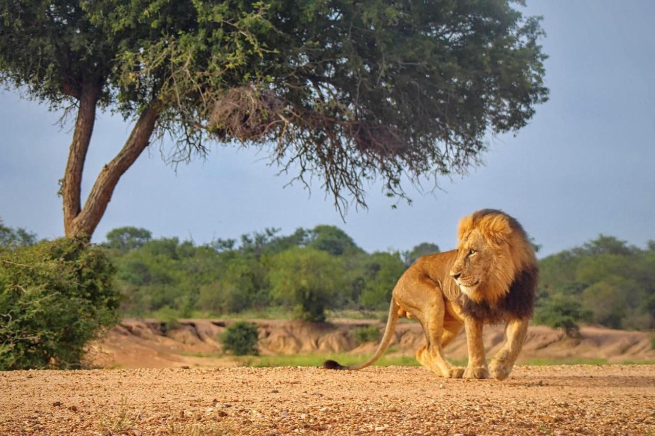 Kapama Karula Villa Kapama Game Reserve Екстериор снимка